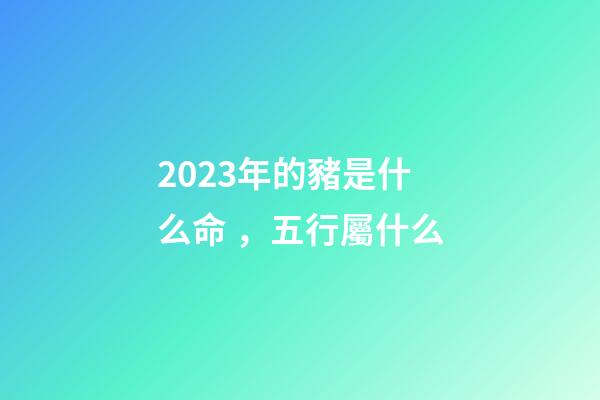 2023年的豬是什么命，五行屬什么?